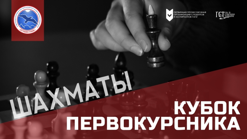 Итоги соревнований по шахматам