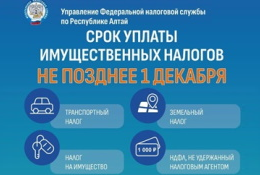 Внимание, сотрудники, преподаватели и студенты! До окончания срока уплаты имущественных налогов и НДФЛ осталось 7 дней!