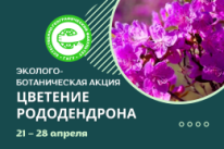 21 - 28 апреля