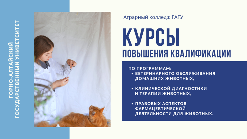 Образовательные курсы для тех, кто любит животных